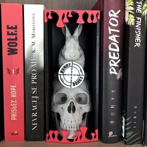 Bunny & Bones - book nook