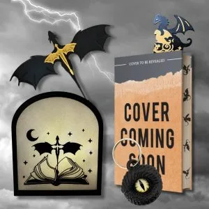 Fourth Wing Book Box - large