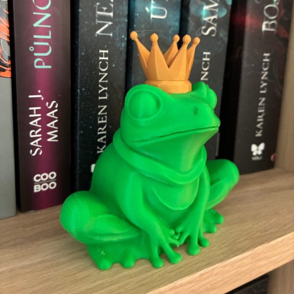 Kingsley, the frog - Image 2