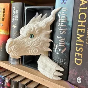 Cloud Dragon - book nook