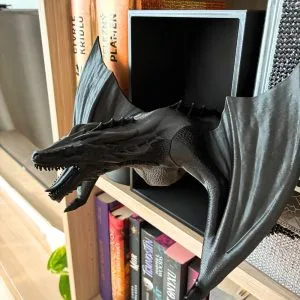 Dragon - Book Nook