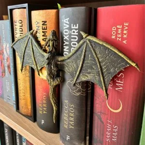 Flying Dragon - book insert