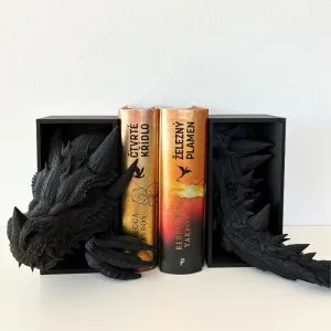 Black dragon - Book Nook