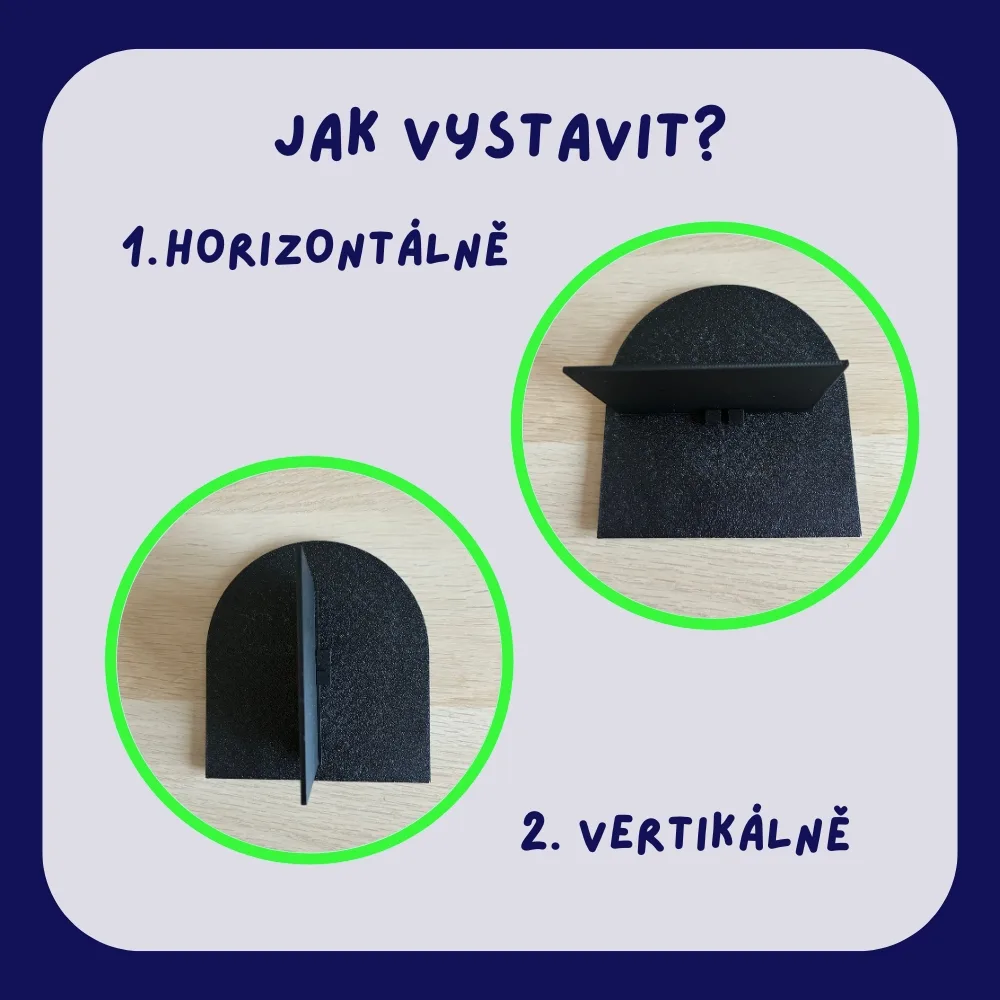 Ms. Vitalio - Book Insert - Image 2