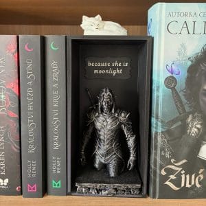 Quicksilver - book nook